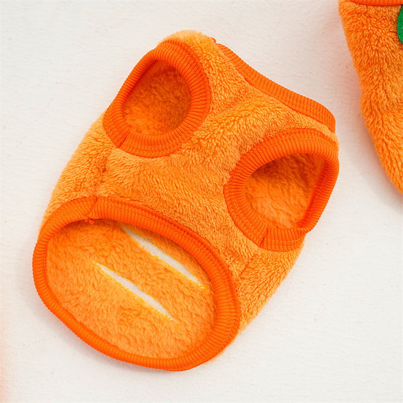 Ropa para mascotas, abrigos cá - Winter Clothing Kids reseña y precio