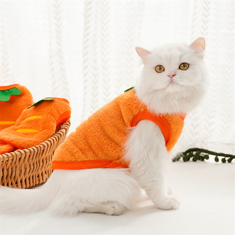 Ropa para mascotas, abrigos cá - Winter Clothing Kids reseña y precio