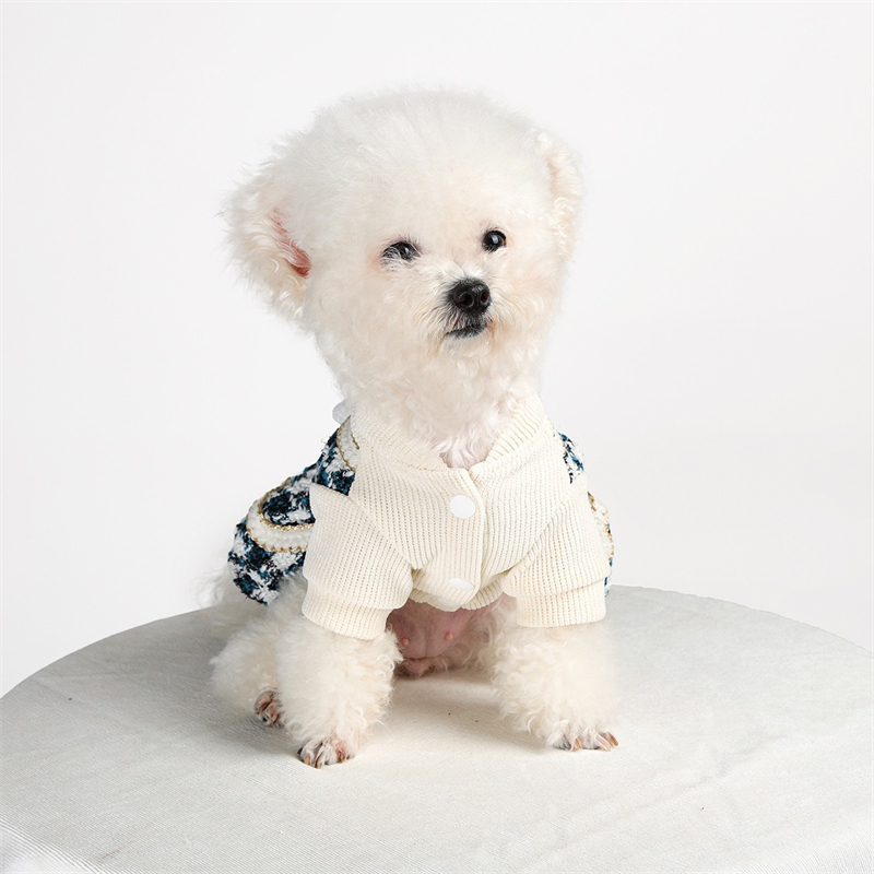 Ropa de princesa para perros p - Winter Clothing Kids reseña y precio