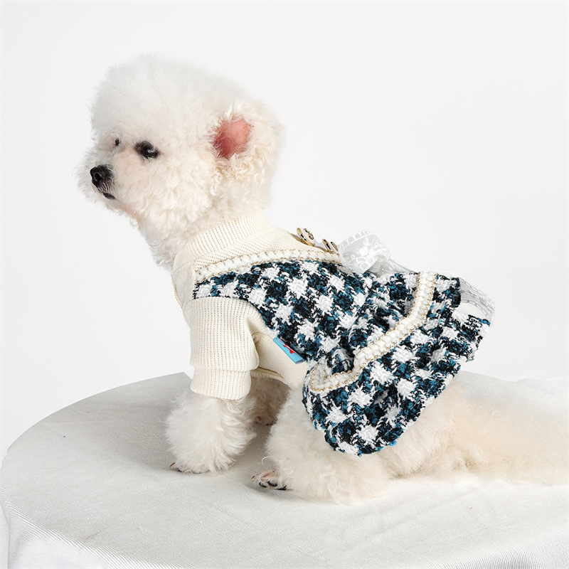 Ropa de princesa para perros p - Winter Clothing Kids reseña y precio